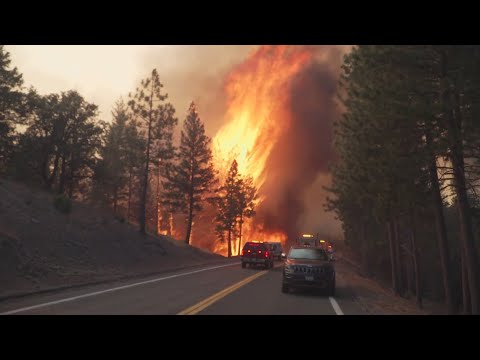 California Wildfire: Park Fire update - July 28