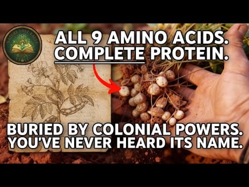 All 9 Amino Acids, Complete Protein, Survives Droughts, Yet the World Bank Won't Fund It.