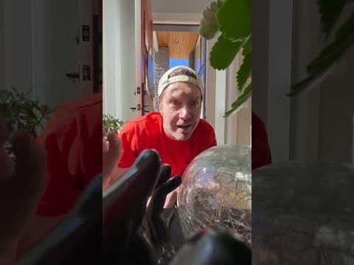 This Halloween Decoration PRANK Worked PERFECTLY! #shorts