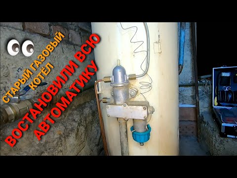 Чуть не поплатился хозяин за беспечность.