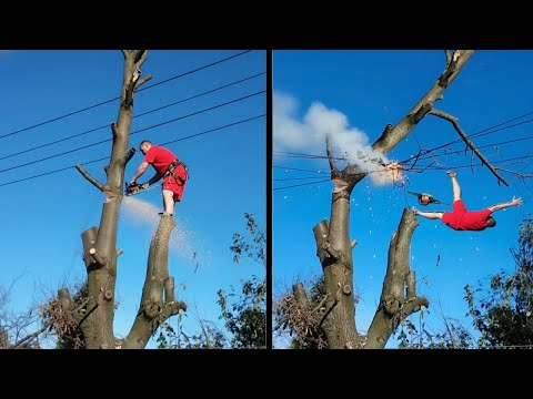 Idiots With Chainsaws: Tree Cutting Fails | Extreme Dangerous Logging Truck Fails
