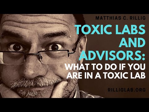 Toxic labs: what to do if you're in a toxic lab. #phdlife #academia #toxicworkplace #mentalhealth