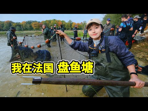 French Fish-Catching Challenge: Hauling in a Ton of Fish—How Much Can You Earn? | Fish-Catching |