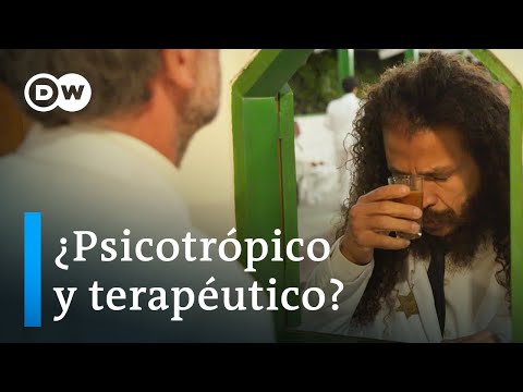 El auge de la ayahuasca en Brasil: ¿cura o peligro? | DW Documental