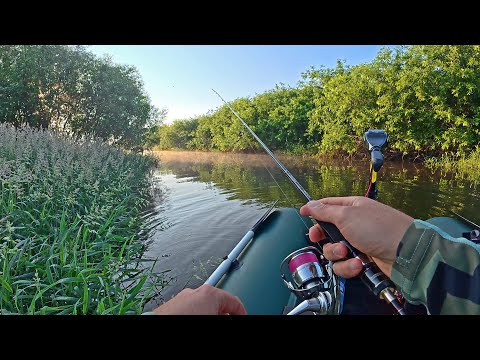 В устье ВОДА ЗАКИПЕЛА ОТ РЫБЫ. ПРОСТЫЕ ПРИМАНКИ РУЛЯТ. Рыбалка. Спиннинг. Лето