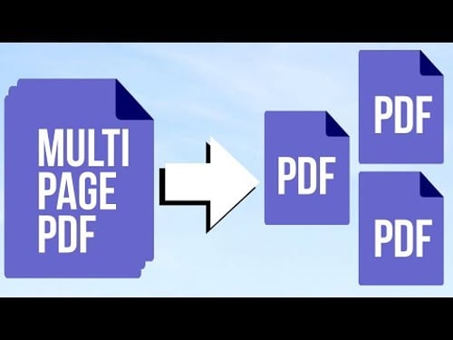 How to save individual pages from a multi page PDF | 2019 | Mac & Pc