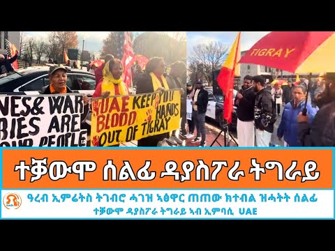 TMH - ተቓውሞ ሰልፊ ዳያስፖራ ትግራይ ኣብ ኤምባሲ ዓረብ ኢምሬትስ