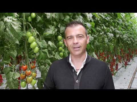 Serra idroponica - Superquark 24/07/2019