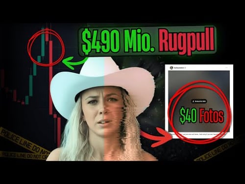 Wie eine 21 Jährige $490 Millionen stahl - und jetzt Fotos für 40$ verkauft