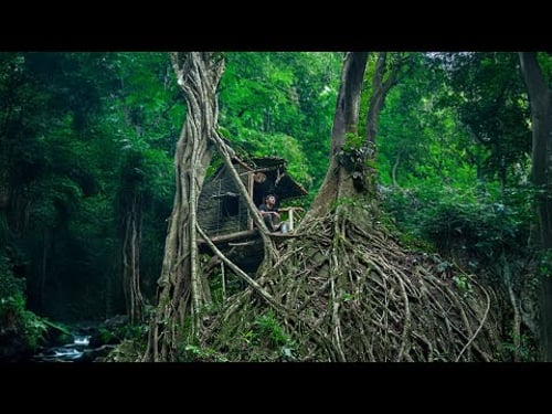 Build Bushcraft Shelters On Old Trees For Survival, Clay Fireplaces, Catch Snails In The Mountains