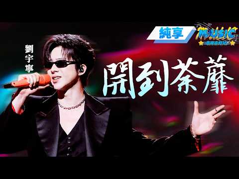 【純享版】劉宇寧超燃開唱《開到荼蘼》氣場全開 黑色西裝搭配酷酷得兒墨鏡 簡直是微博之夜的焦點 #音樂安利站