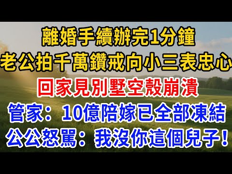 離婚手續辦完1分鐘,老公拍千萬鑽戒向小三表忠心,回家見別墅空殼崩潰,管家:10億陪嫁已全部凍結!公公怒駡:我沒你這個兒子!