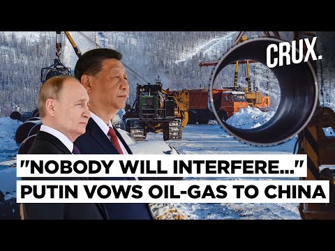 "US Sanctions Stupid, Illegitimate" | Putin Flaunts $240B Russia-China Trade, Vows Oil-Gas Pipeline