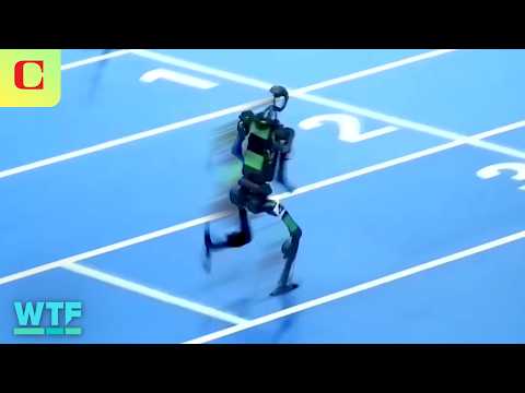 Humanoid DOWN! Highlights From the First World Humanoid Robot Games | What The Future