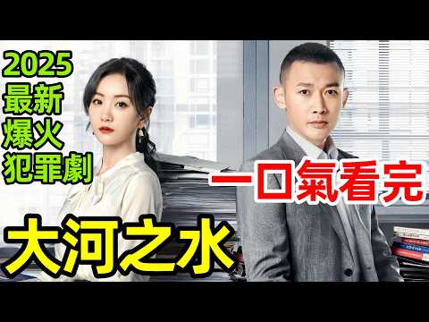2025最新爆火稅務犯罪劇,一口氣看完1~36全集完整版,電視劇解說,聶遠、楊蓉,張鐸新劇