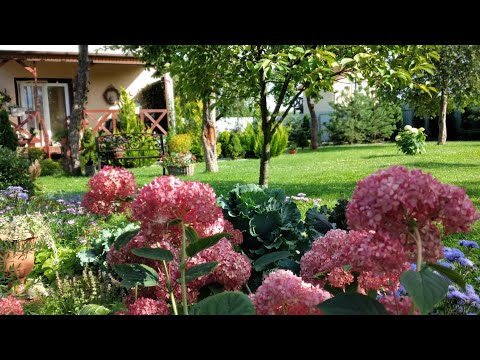 Эффектный ЦВЕТНИК как из ЖУРНАЛА. Однолетние и Многолетние Цветы и Растения. Часть 1 #миксбордер