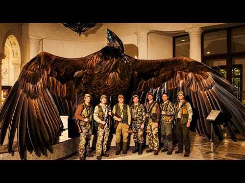 Les Oiseaux les plus Meurtriers de la Planète