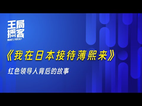 《我在日本接待薄熙来》—红色领导人背后的故事|王局播客 20251212