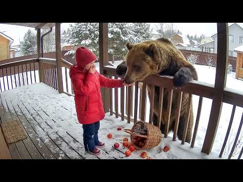 Dangerous Animals Caught Being Friendly