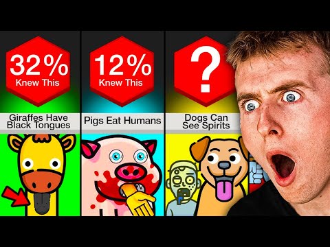 Animal Facts YOU Didn’t Know!