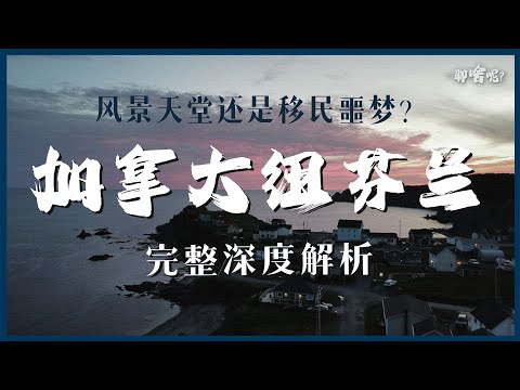 Must-see places in Canada: Is Newfoundland a suitable place to settle? A complete in-depth analysis.