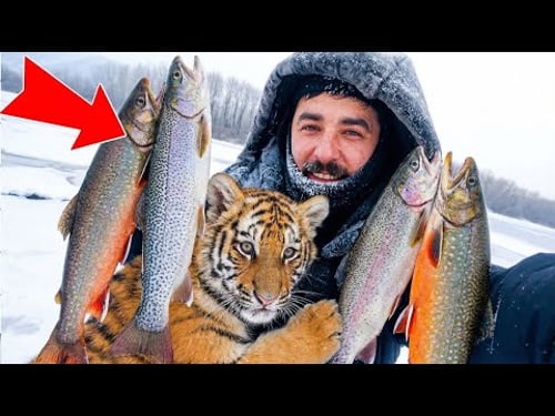 I Saved a Freezing Tiger Cub! ❄️ Years Later She Introduced Me to Her Babies… 🐯❤️
