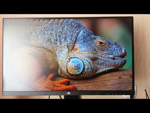 TITAN ARMY P245MS+ МИНИ СМОТР/ОБЗОР/ОТЧЕТ