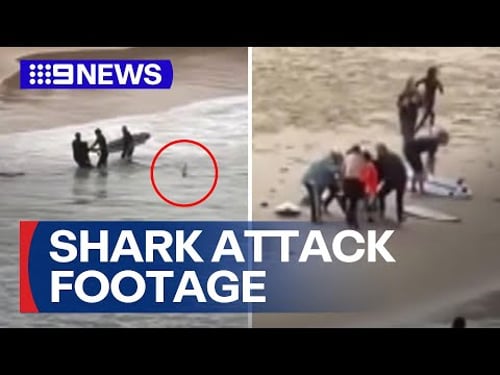 Footage released of bystanders saving a teenage boy after shark attack | 9 News Australia