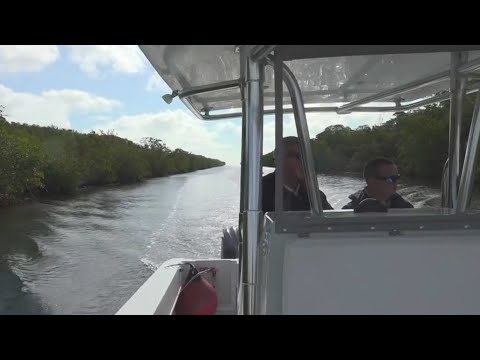 Coral Gables vice mayor and police chief asking for assistance in stopping migrant crossings