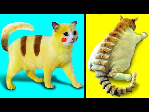 Странные Кошки, Которые Действительно Существуют