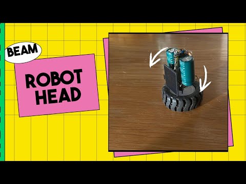 Inverters for brains, the BEAM robot head
