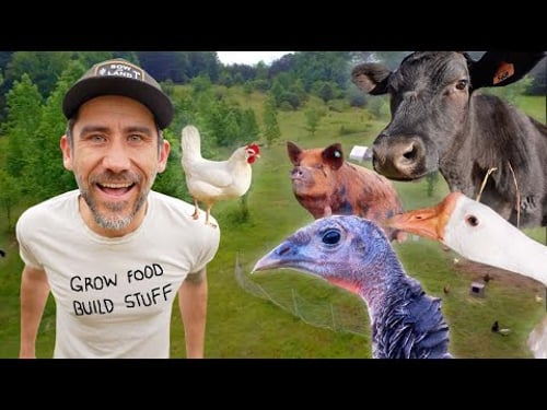 First Year Challenges Building a 14 Acre Homestead (Year End Review)