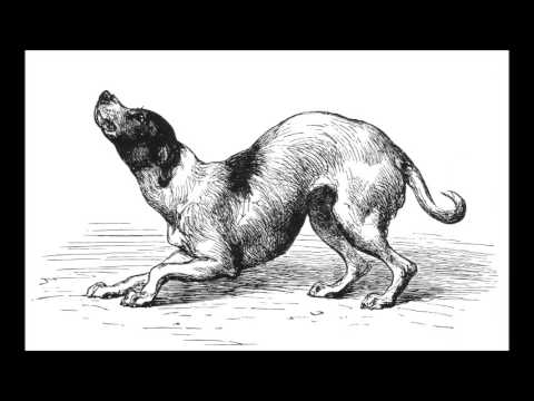 TIES Workshop Part 1