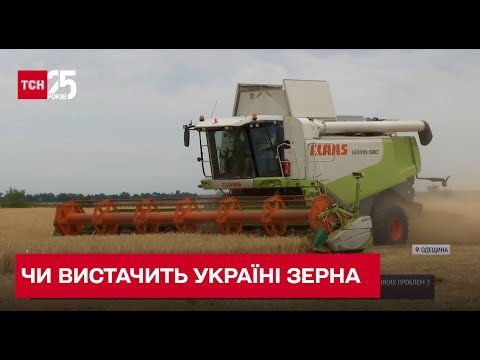 ❓ ❗ Чи буде в Україні голод? Жнива під постійними обстрілами!