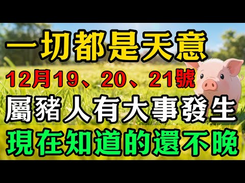 一切都是天意!屬豬人註意,12月19、20、21號,你有「大事」發生!現在知道的還不晚!#佛靈禪境#屬相運勢#生肖#家運#生肖運勢的那些事#先知#風水變化#提升運勢