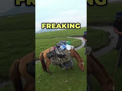 Just take a look what horses do when they're afraid of small crossings π #mongolia #travelvlog