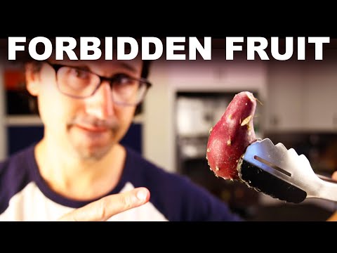 How to eat cactus without impaling yourself