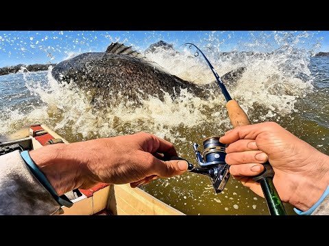 This MONSTER Fish Nearly Yanked Me Overboard!