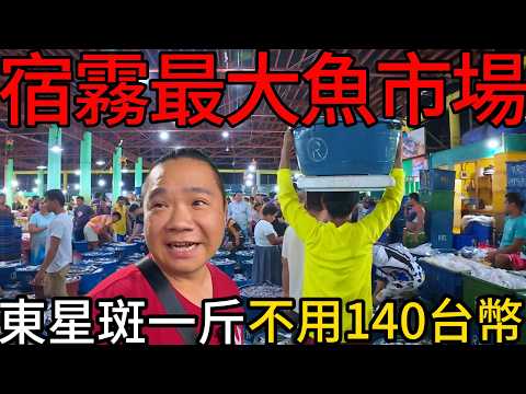 四斤多東星斑只要台幣500初?丨夜訪宿霧最大深夜魚市場丨這裡的魚相當驚人