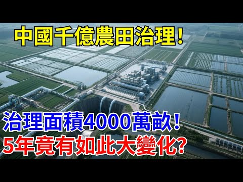 4000萬畝農田改節水灌溉!中國1500億堵住‘地下黑洞’,5年竟有如此大變化?#治理工程#退耕還濕#生態保護#山水治理#超級工程