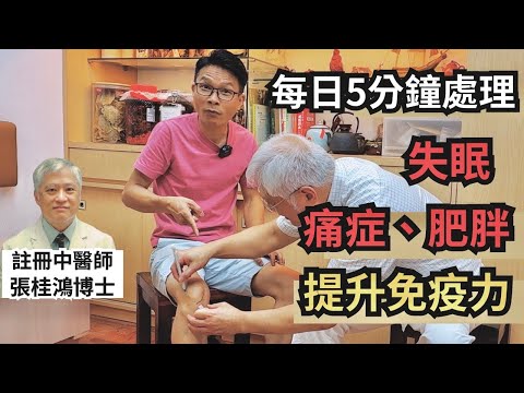 每日5分鐘,教你如何揼兩個黃金穴位,減少失眠•止痛通經絡•補氣血•健脾胃•減肥•提升免疫! 嘉賓《註冊中醫師》張桂鴻博士 #傷風感冒 #咳嗽 #痛症 #失眠 #脾胃虚弱