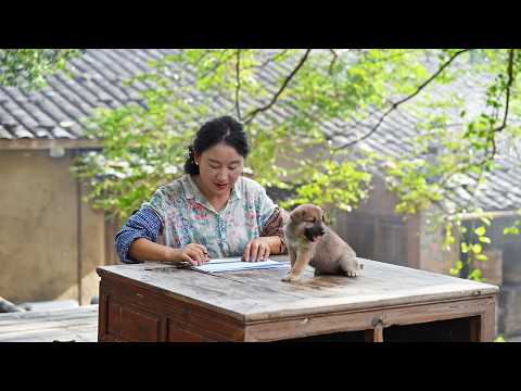 'Deluxe'Doghouse | Dahuang has seven adorable new puppies! We built them a two-story mansion.shendan