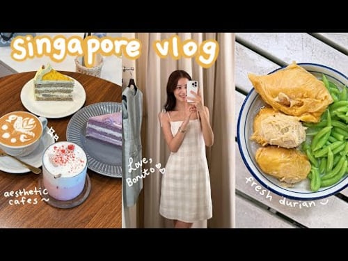 singapore vlog 🇸🇬 Love, Bonito brand trip, cafes, chicken rice, kaya toast, durian, cute outfits ❤️