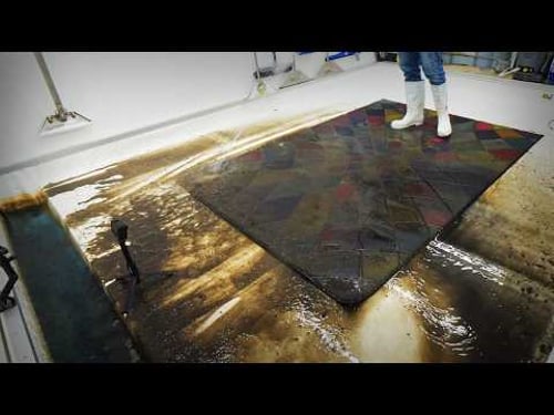 This Filthy Rug TRIGGERED Me… Until the Colourful Reveal 😳🔥 Satisfying ASMR Carpet Cleaning.