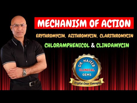 MOA Of Erythromycin, Azithromycin, Clarithromycin, Chloramphenicol & Clindamycin🩺