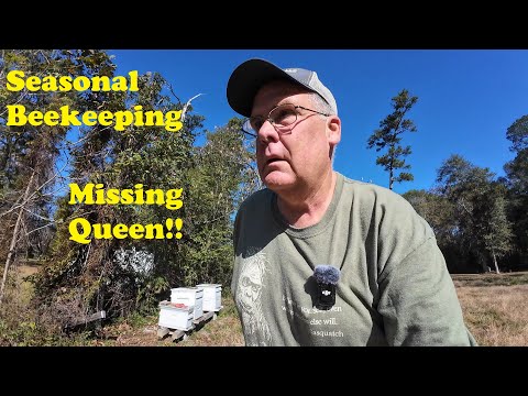 Around the Apiary | Overwintering Bees in Louisiana