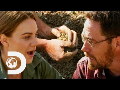 Gold Miners Accidentally Find Gold On Famous Land! | Aussie Gold Hunters