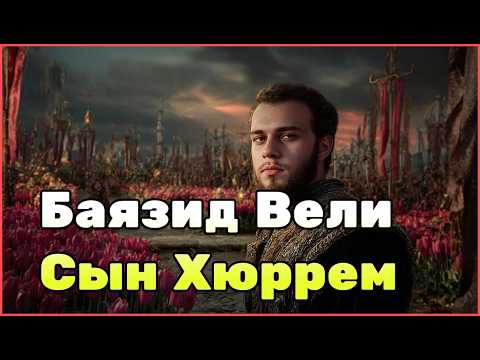 Баязид — принц, ставший легендой. Судьба, изменившая Османскую империю