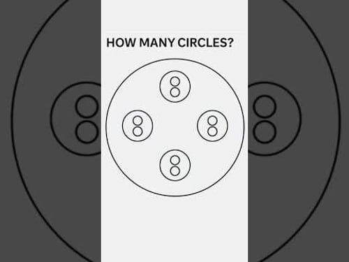 The Illusion That Fooled The Internet