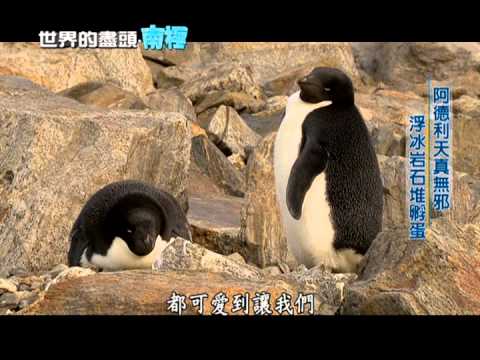 世界的盡頭 - 聚焦南極